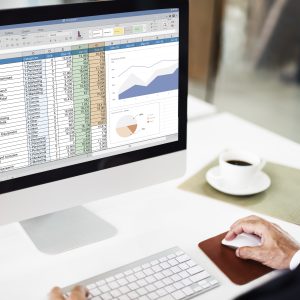 Excel Profesional